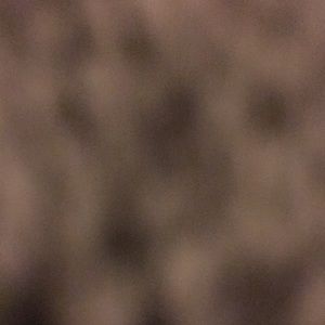 Meet your Posher, Janessa